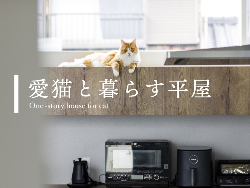 「愛猫と暮らす平屋」施工実例集プレゼント【資料請求 受付中】