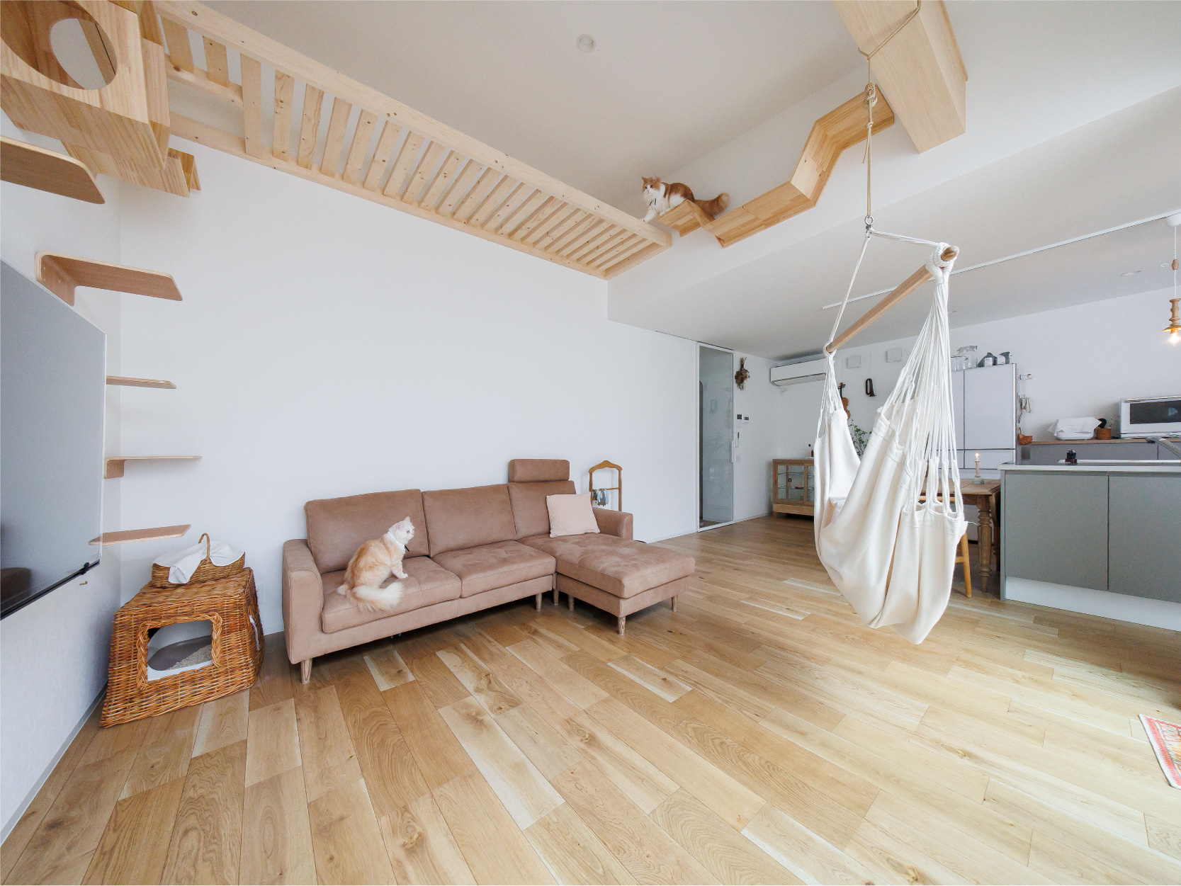 《NEW!》O様邸【ネコx平屋 x 中庭  3LDK・岡山市】