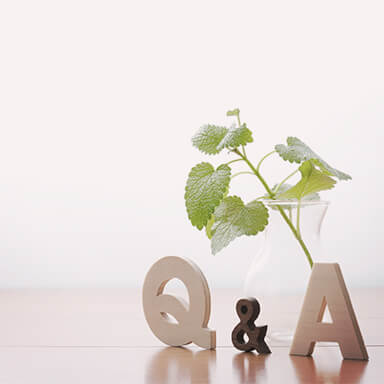 Q & A